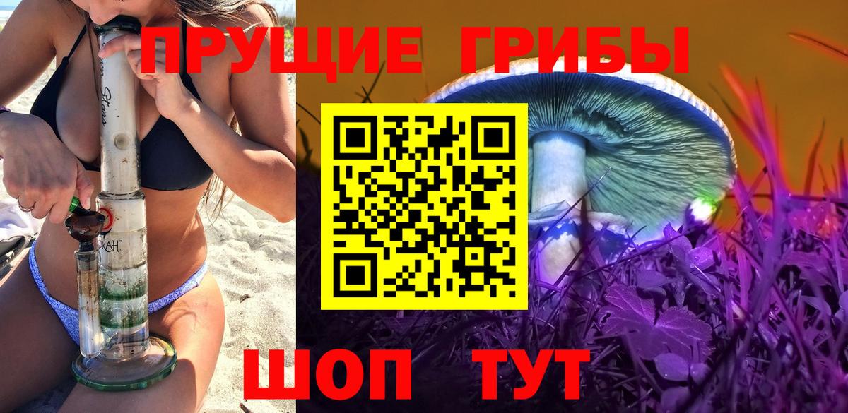 Галлюциногенные грибы MAGIC MUSHROOMS  Псилоцибиновые грибы Psilocybine cubensis  Кольчугино  Вход с VPN 